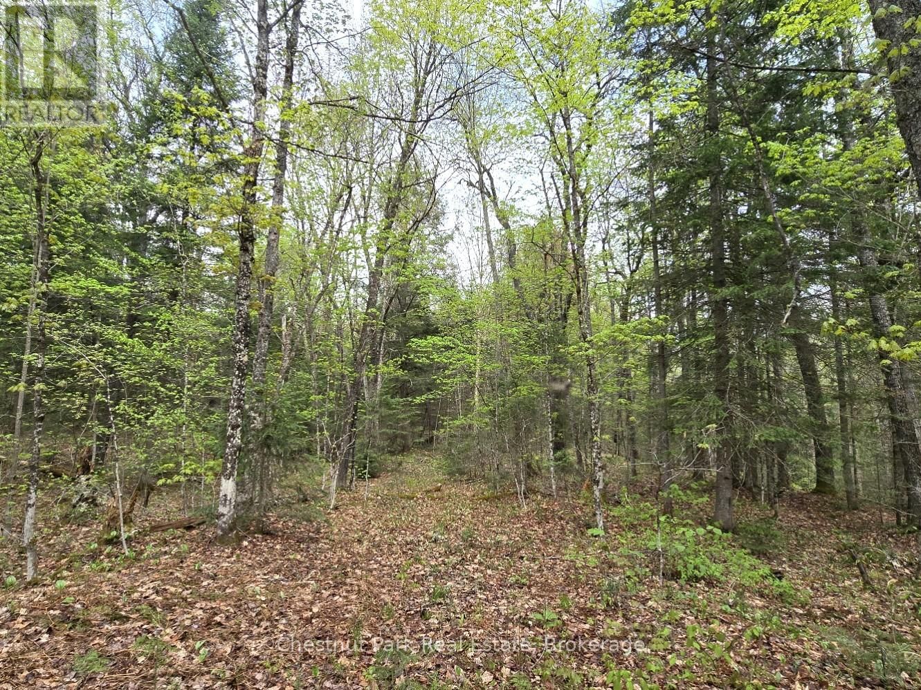 Part 4 ECHO RIDGE ROAD Image 10