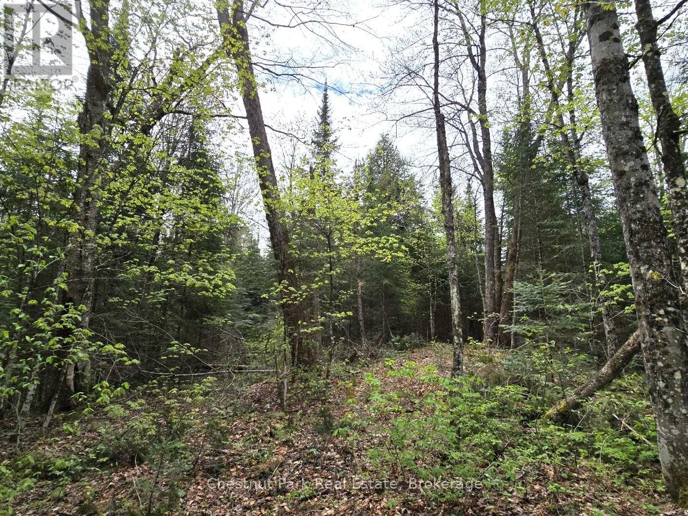 Part 4 ECHO RIDGE ROAD Image 11