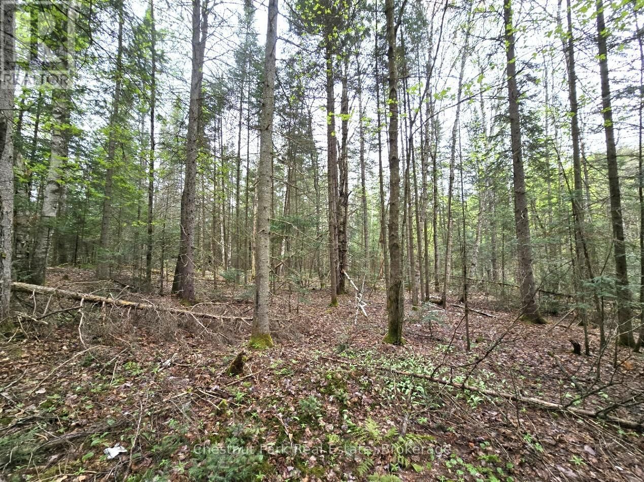 Part 4 ECHO RIDGE ROAD Image 13