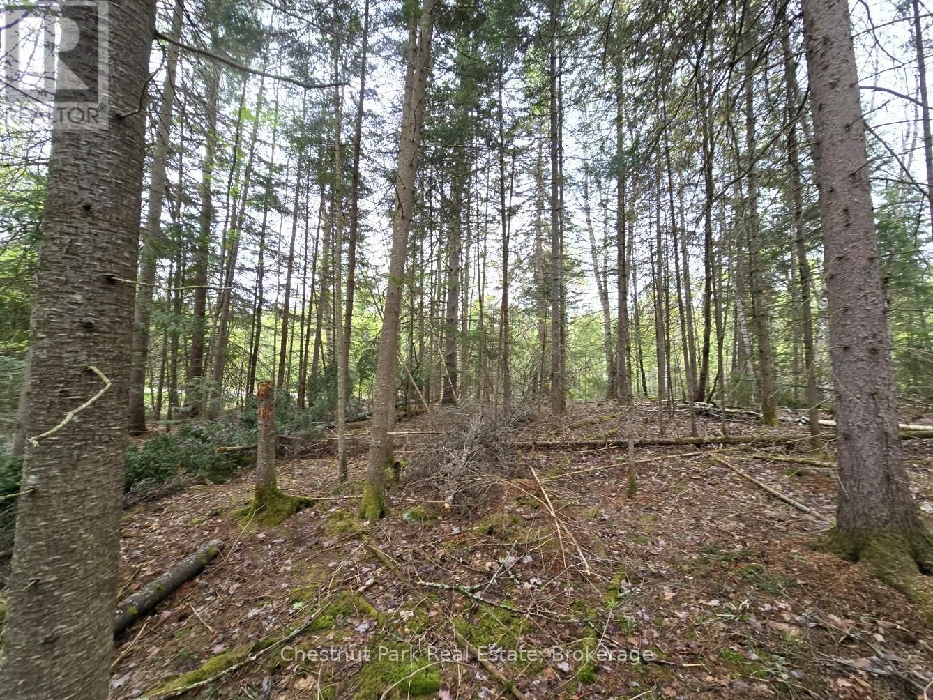 Part 4 ECHO RIDGE ROAD Image 14