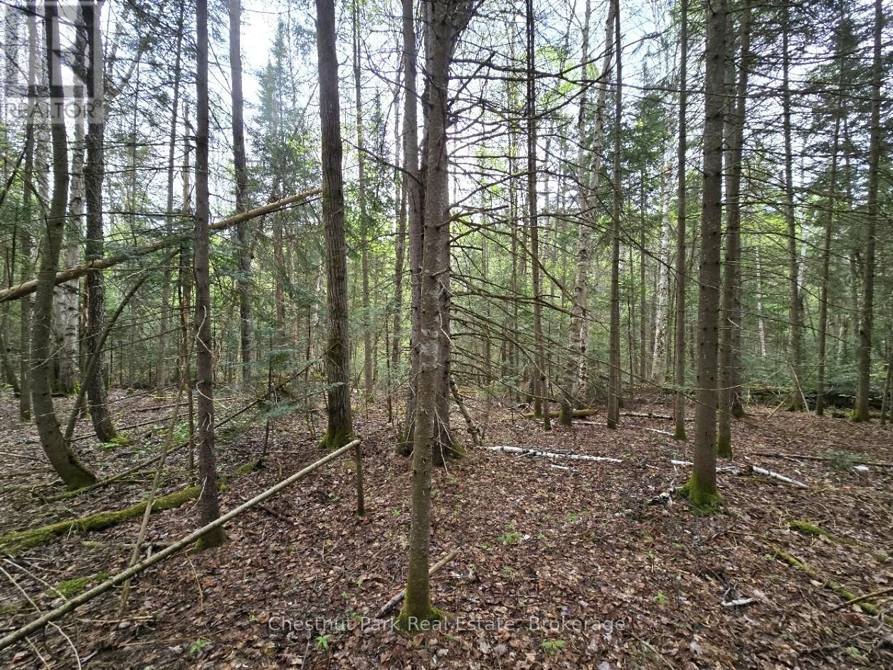 Part 4 ECHO RIDGE ROAD Image 15