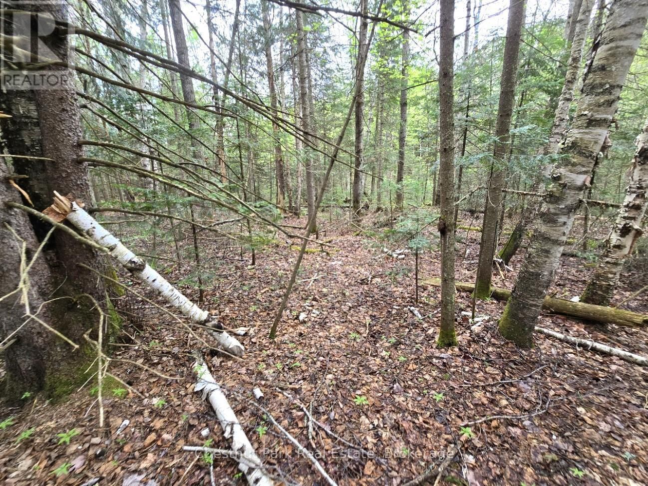 Part 4 ECHO RIDGE ROAD Image 16