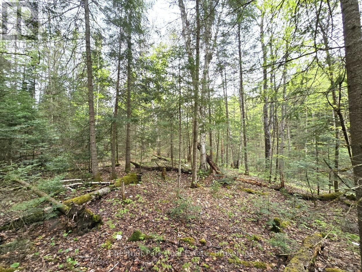 Part 4 ECHO RIDGE ROAD Image 17