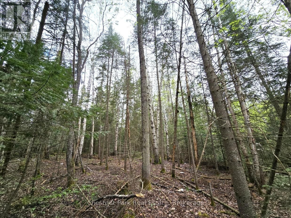 Part 4 ECHO RIDGE ROAD Image 18