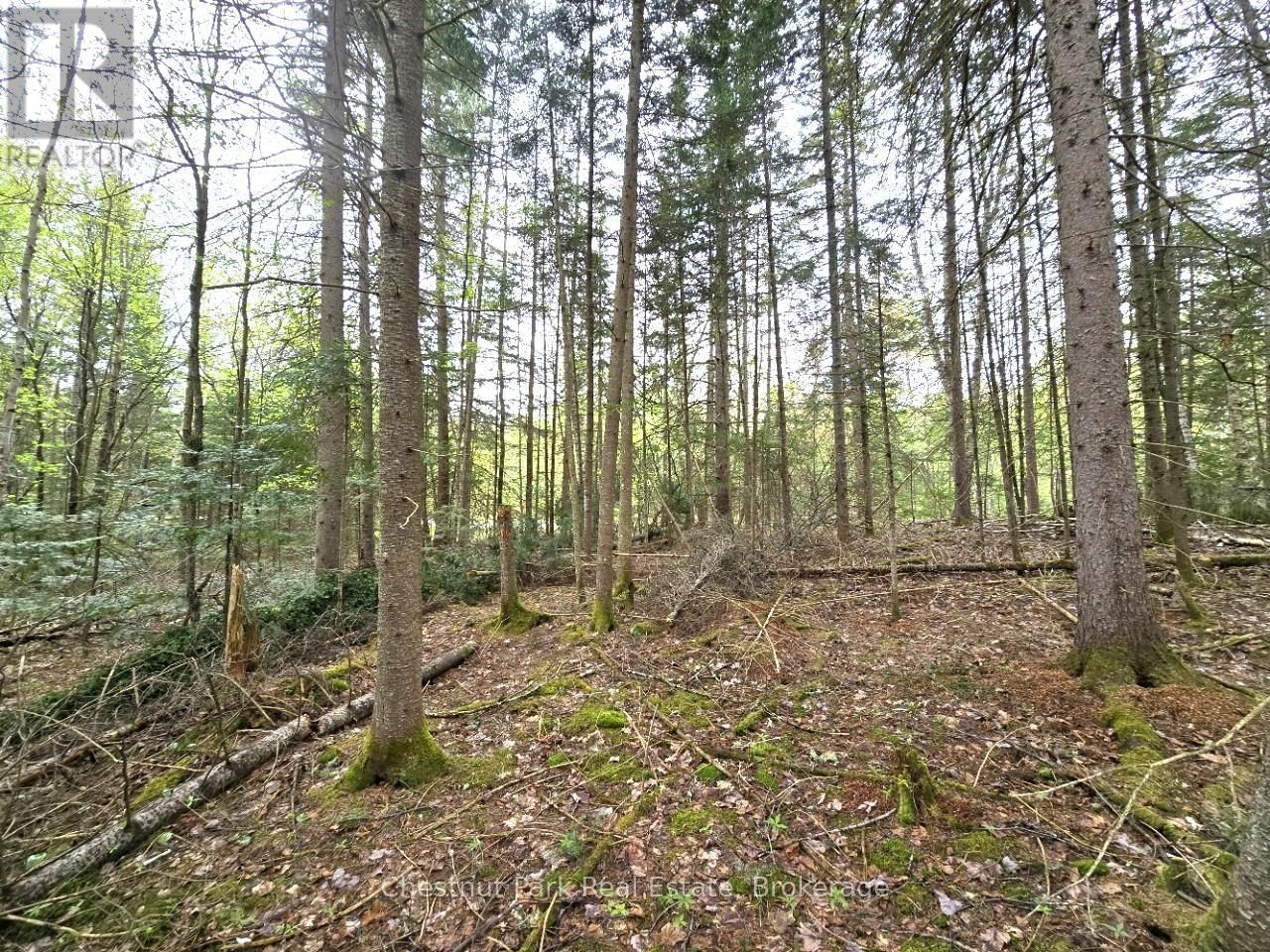 Part 4 ECHO RIDGE ROAD Image 19
