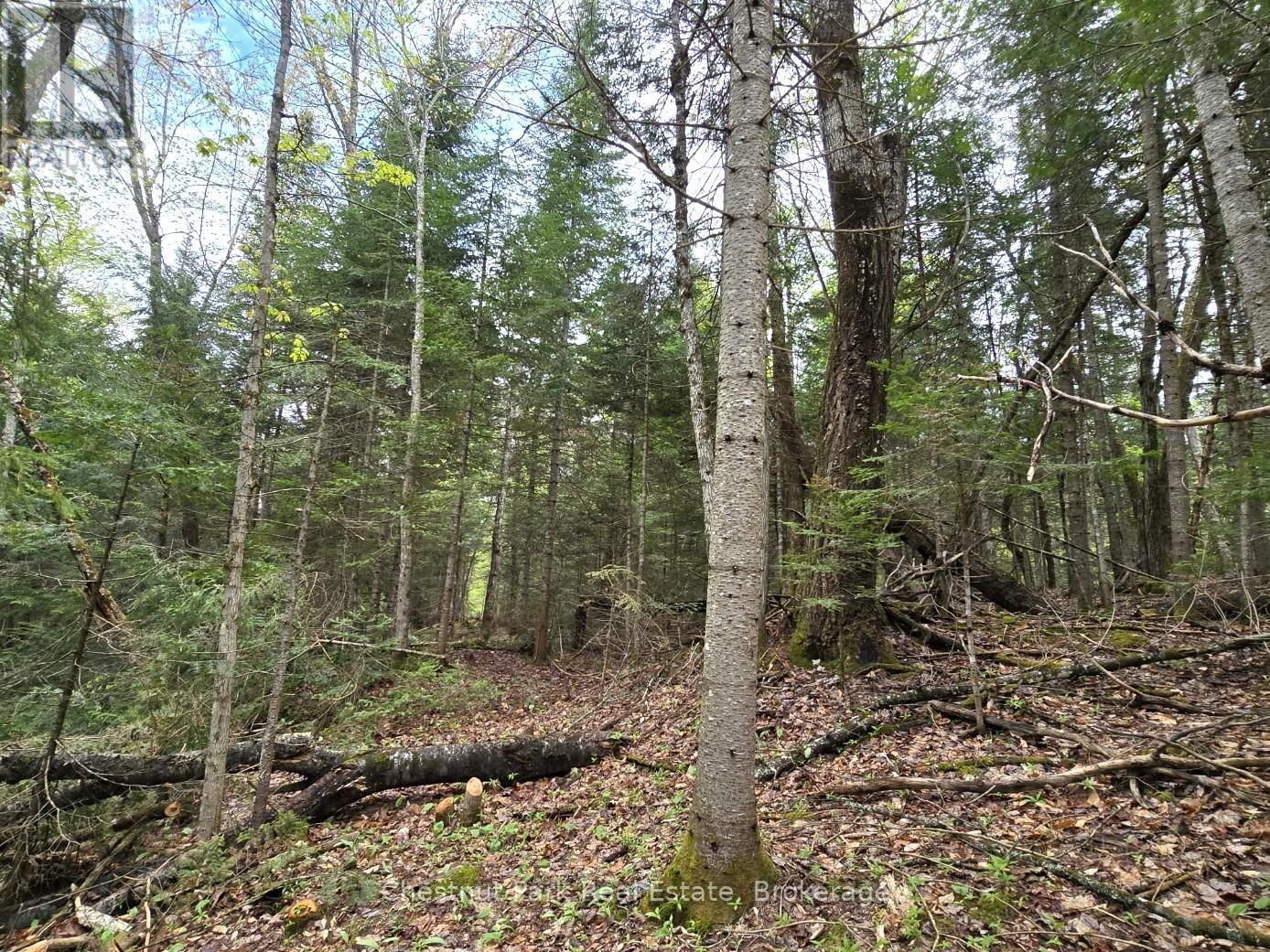 Part 4 ECHO RIDGE ROAD Image 20