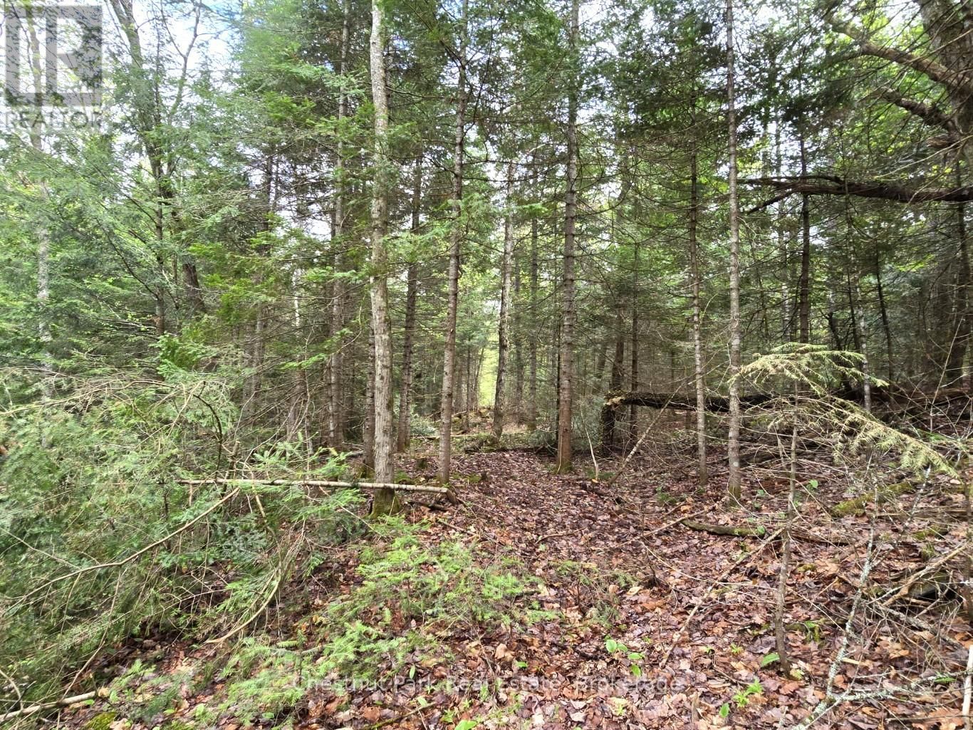 Part 4 ECHO RIDGE ROAD Image 21