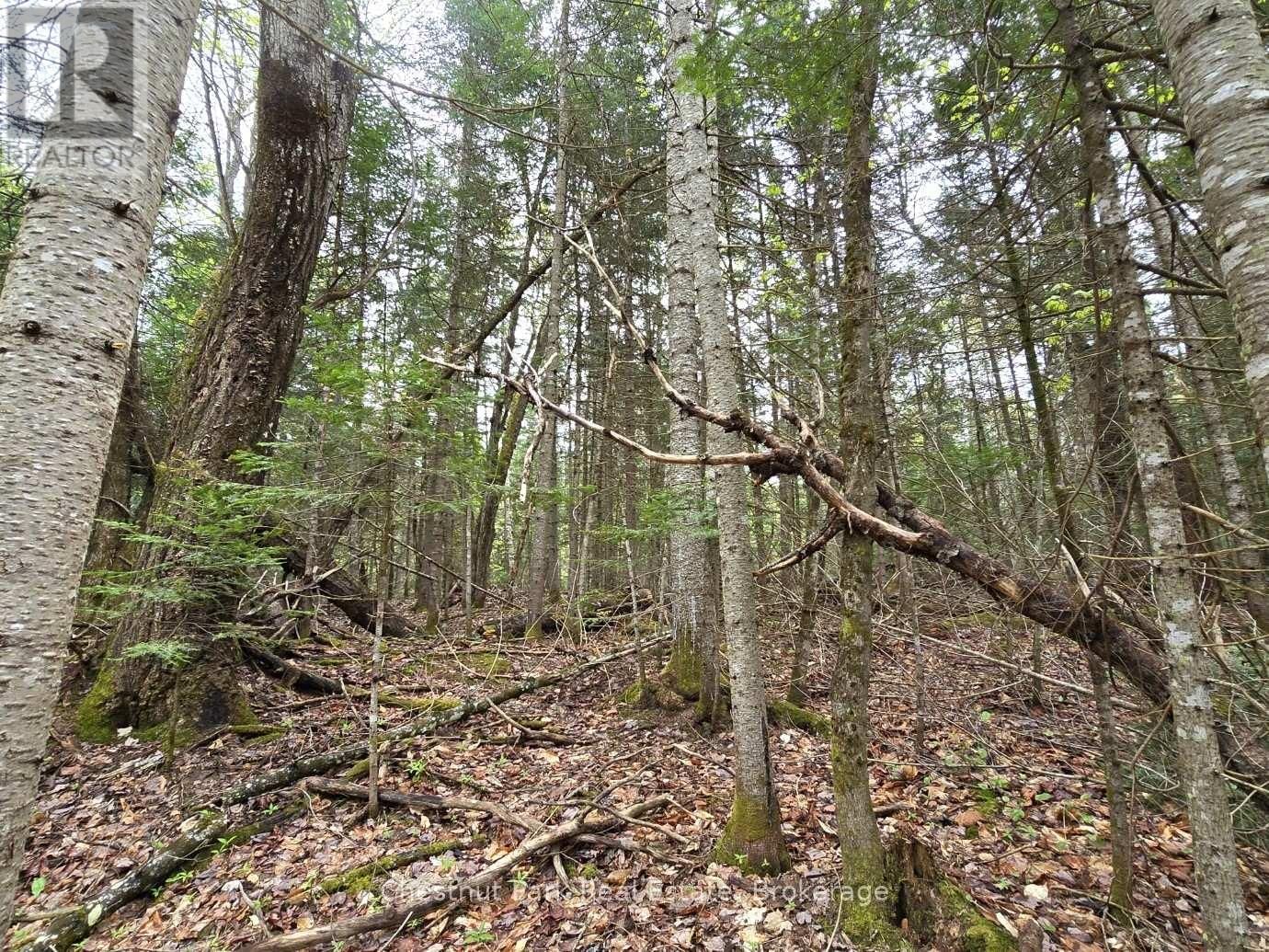 Part 4 ECHO RIDGE ROAD Image 22