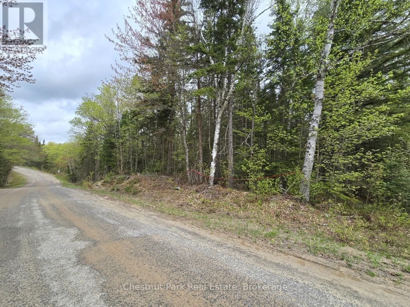 Part 4 ECHO RIDGE ROAD Image 27