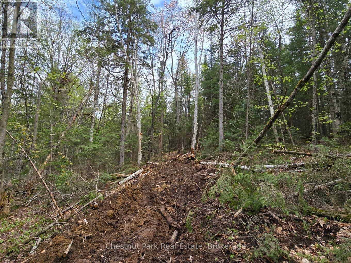 Part 4 ECHO RIDGE ROAD Image 28
