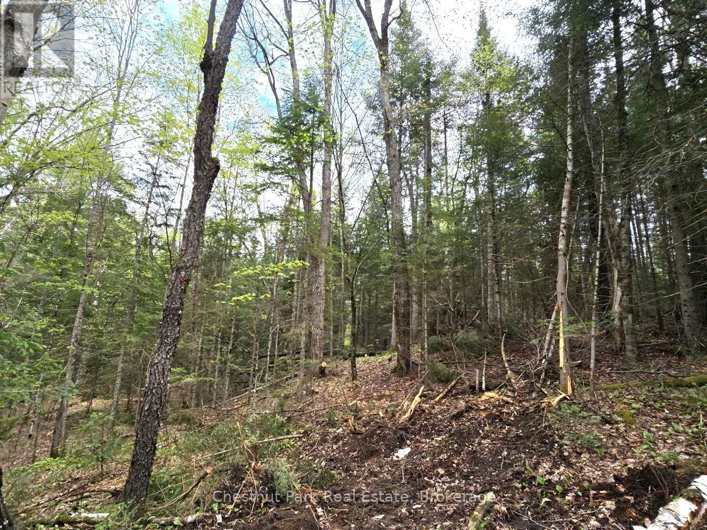 Part 4 ECHO RIDGE ROAD Image 29
