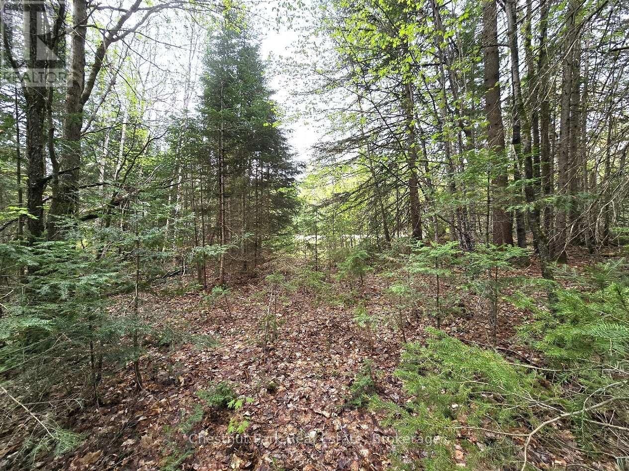 Part 4 ECHO RIDGE ROAD Image 30