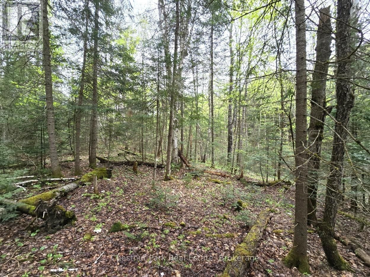Part 4 ECHO RIDGE ROAD Image 31