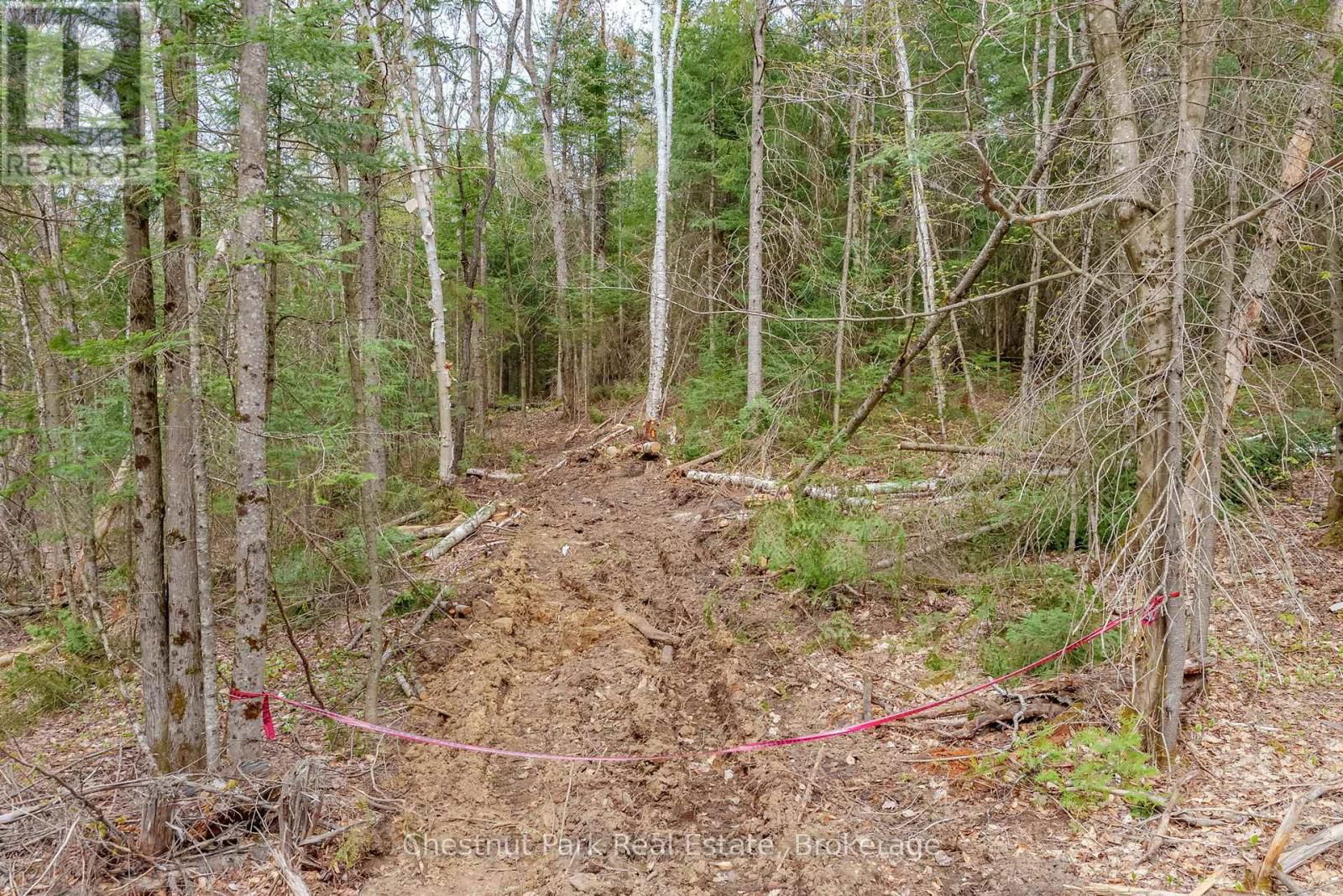 Part 4 ECHO RIDGE ROAD Image 32