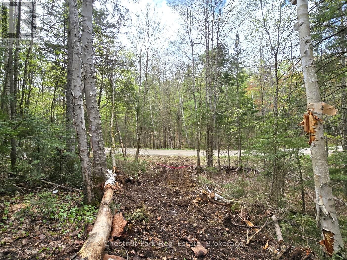 Part 4 ECHO RIDGE ROAD Image 4