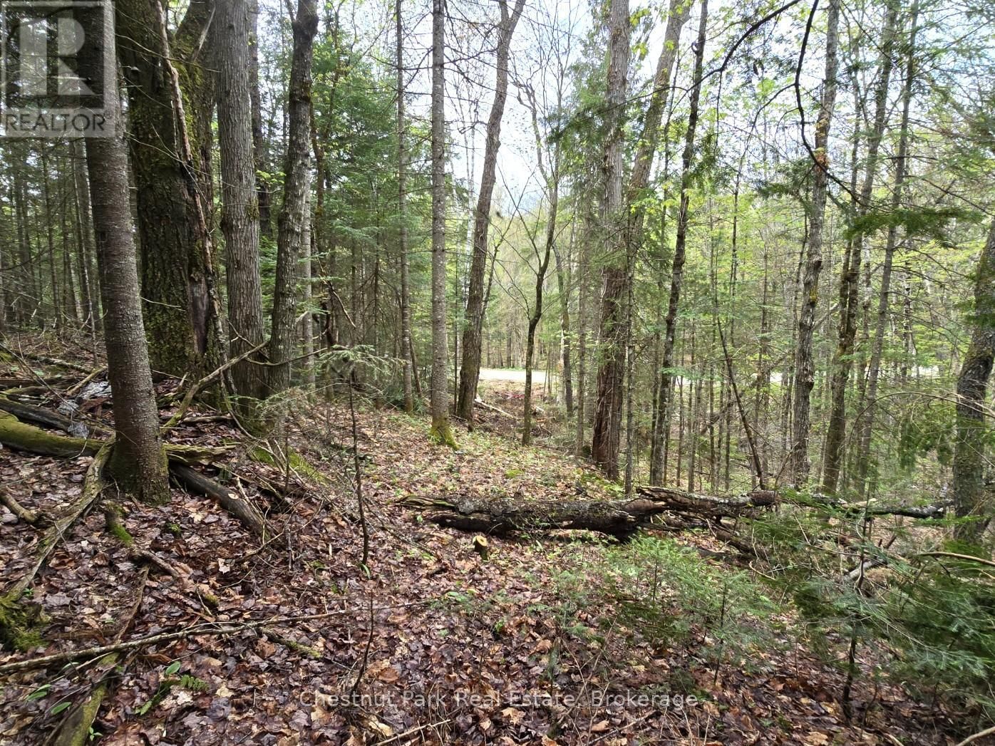 Part 4 ECHO RIDGE ROAD Image 5