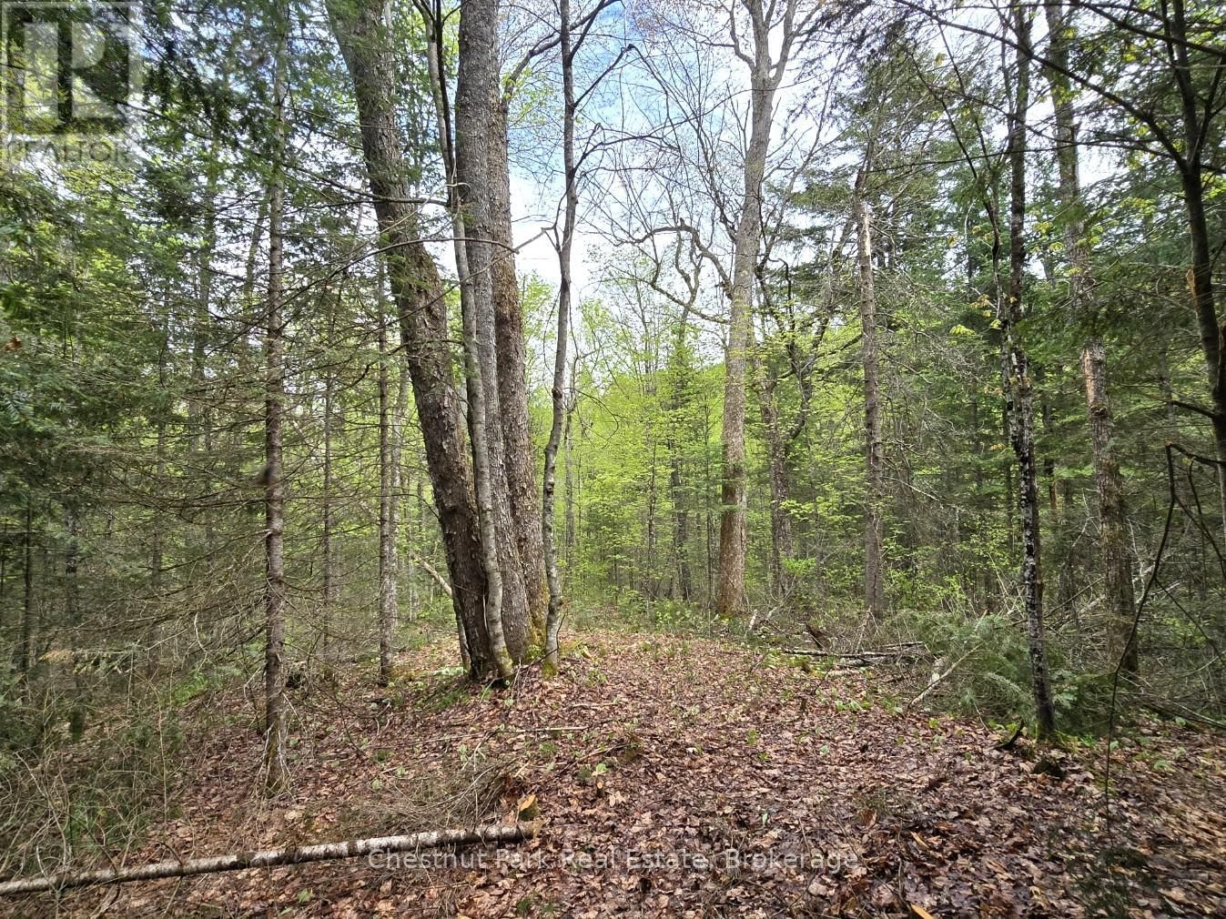 Part 4 ECHO RIDGE ROAD Image 7