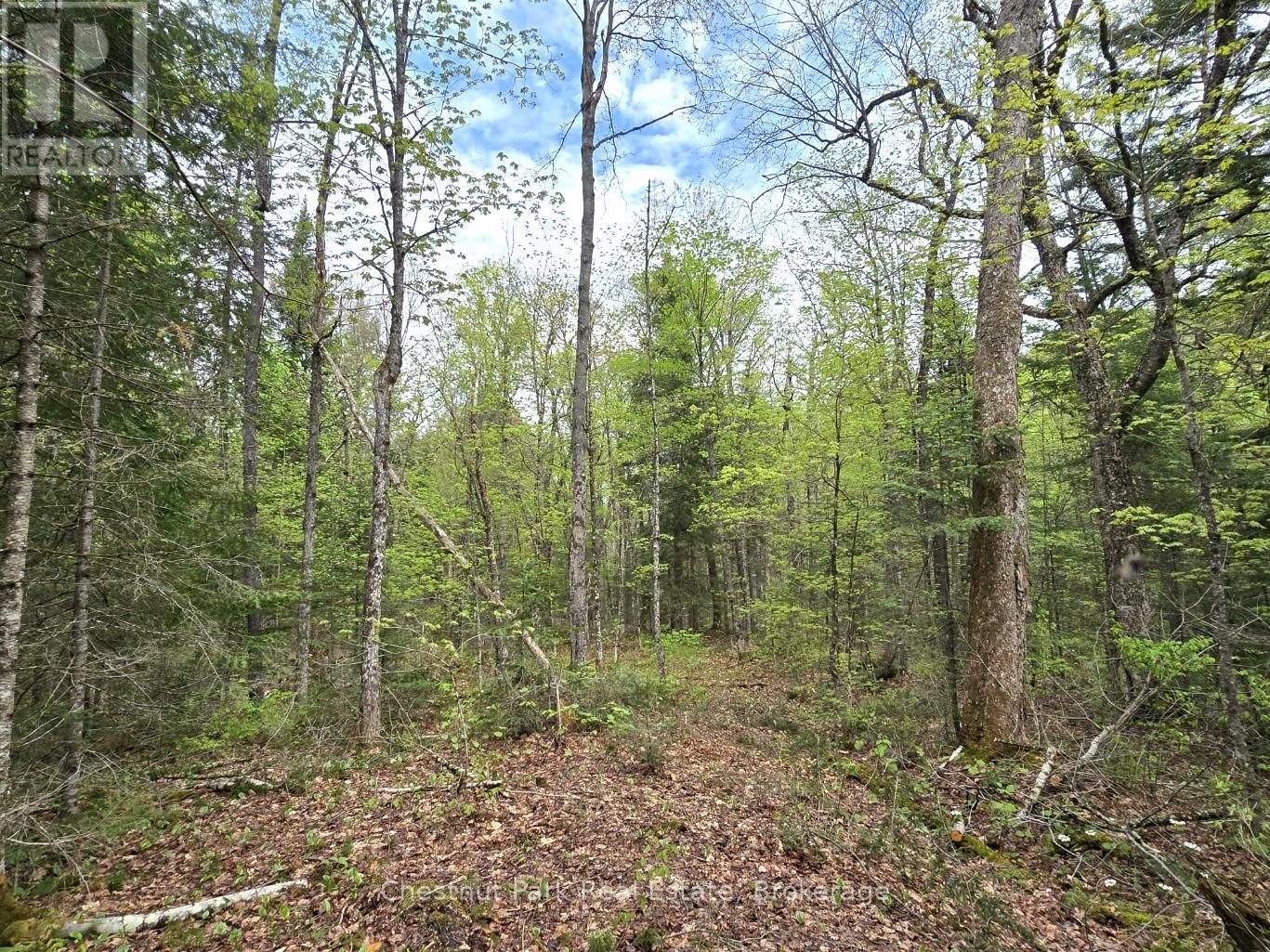 Part 4 ECHO RIDGE ROAD Image 8