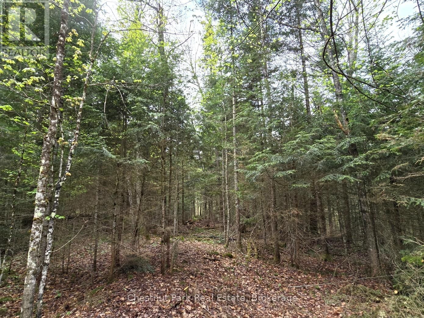 Part 4 ECHO RIDGE ROAD Image 9
