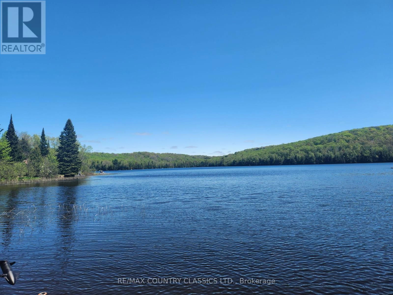 12 ALBION LAKE COURT Image 40