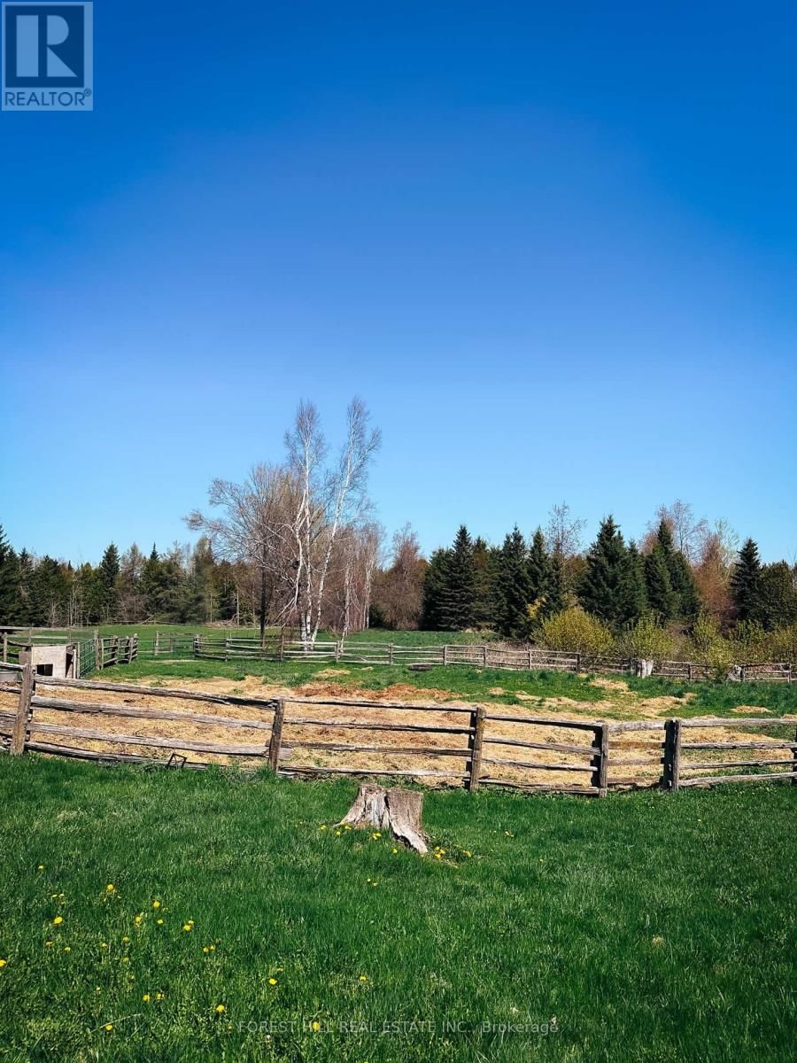 486289 30TH SIDEROAD Image 12