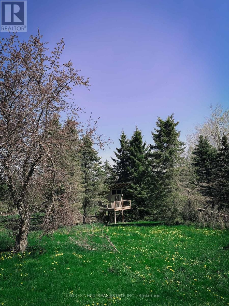 486289 30TH SIDEROAD Image 9
