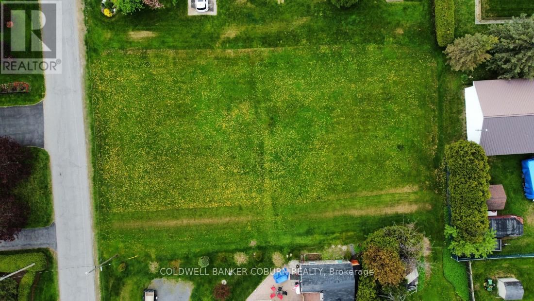12103 JULIA STREET Image 6