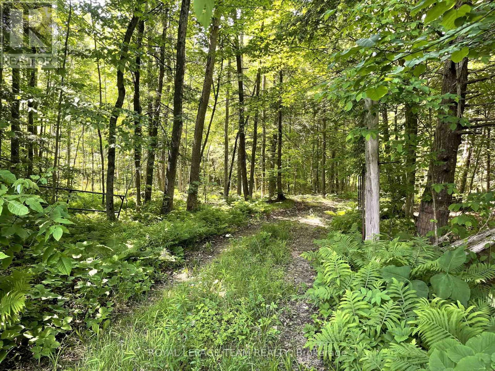 000 DUKELOW ROAD Image 16