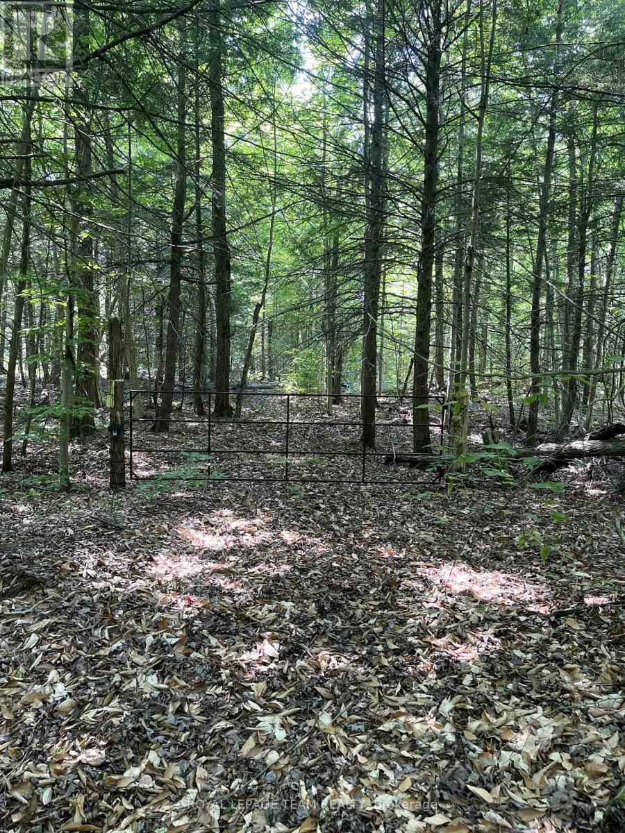 000 DUKELOW ROAD Image 5