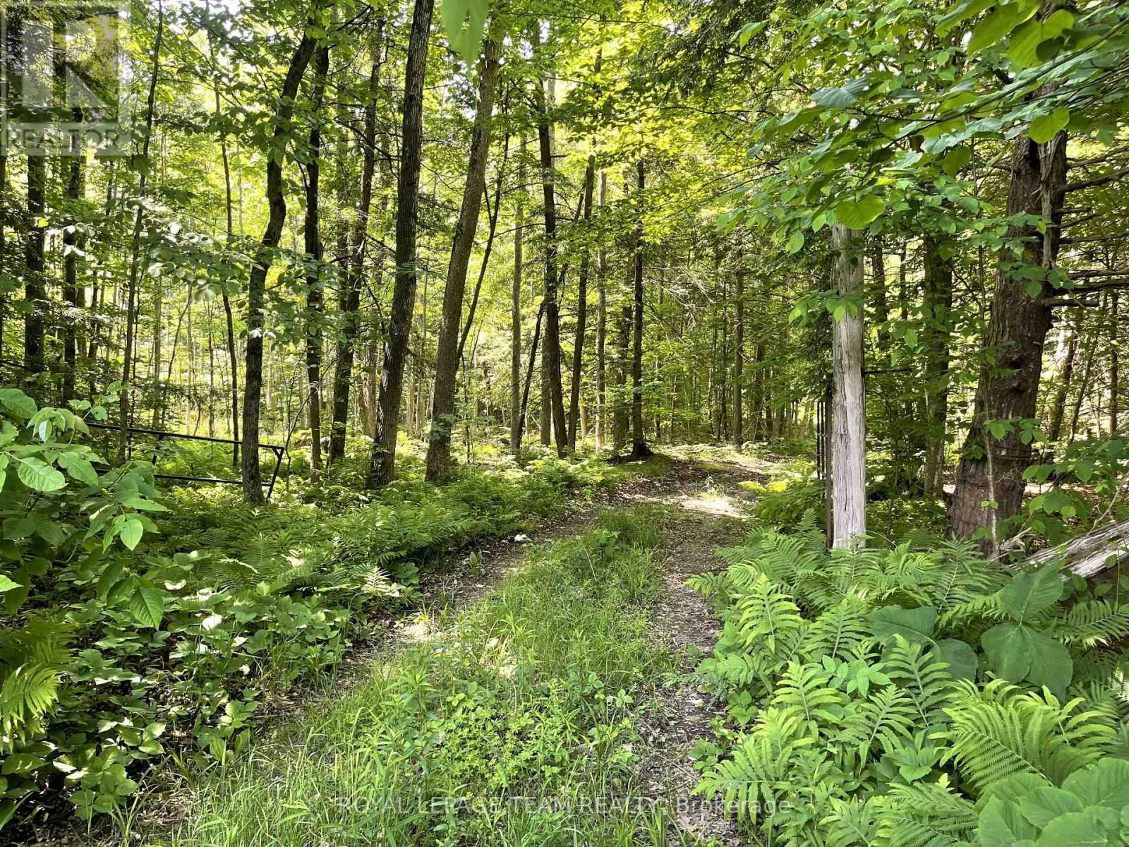 000 DUKELOW ROAD Image 6