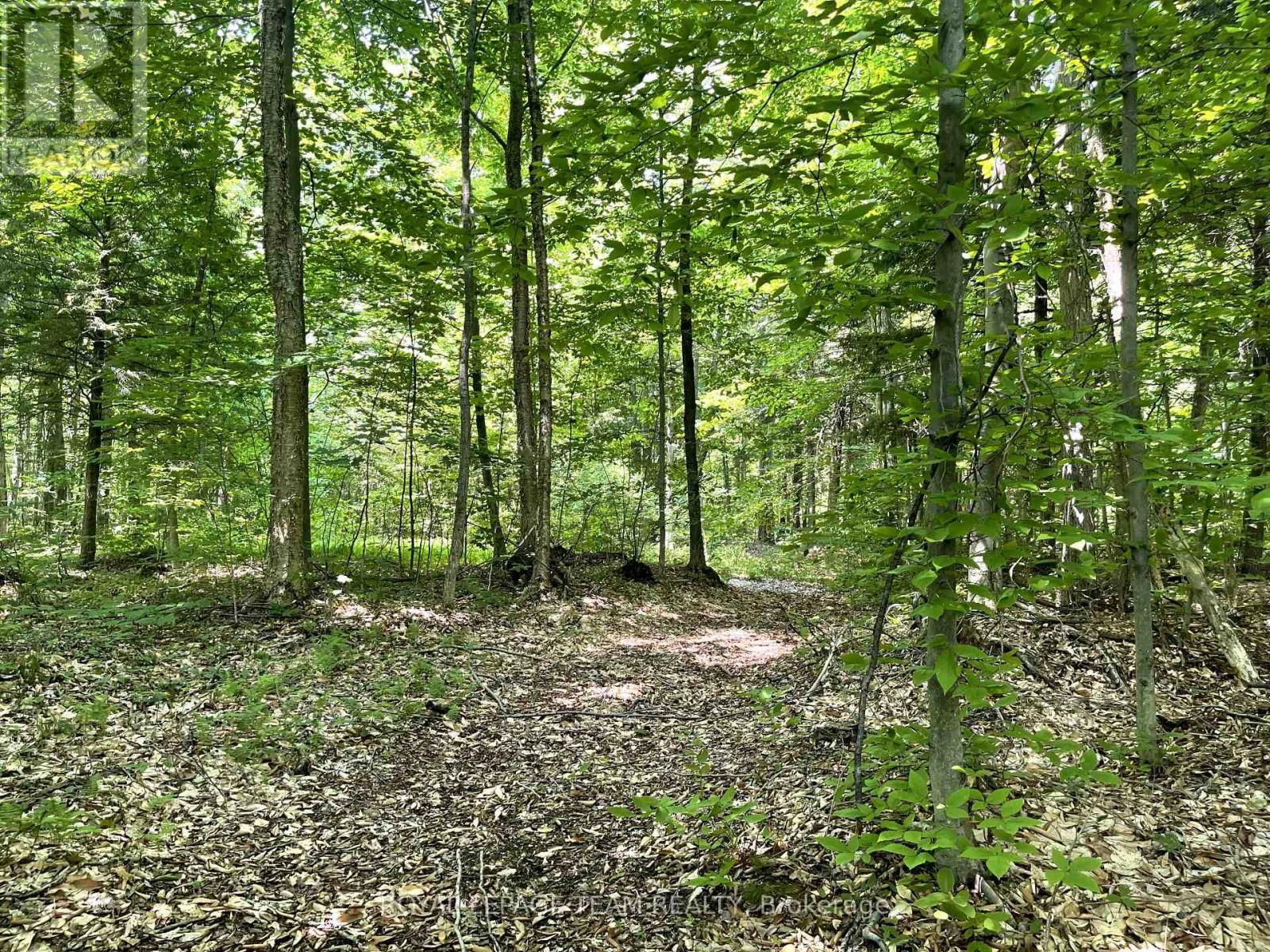 000 DUKELOW ROAD Image 7
