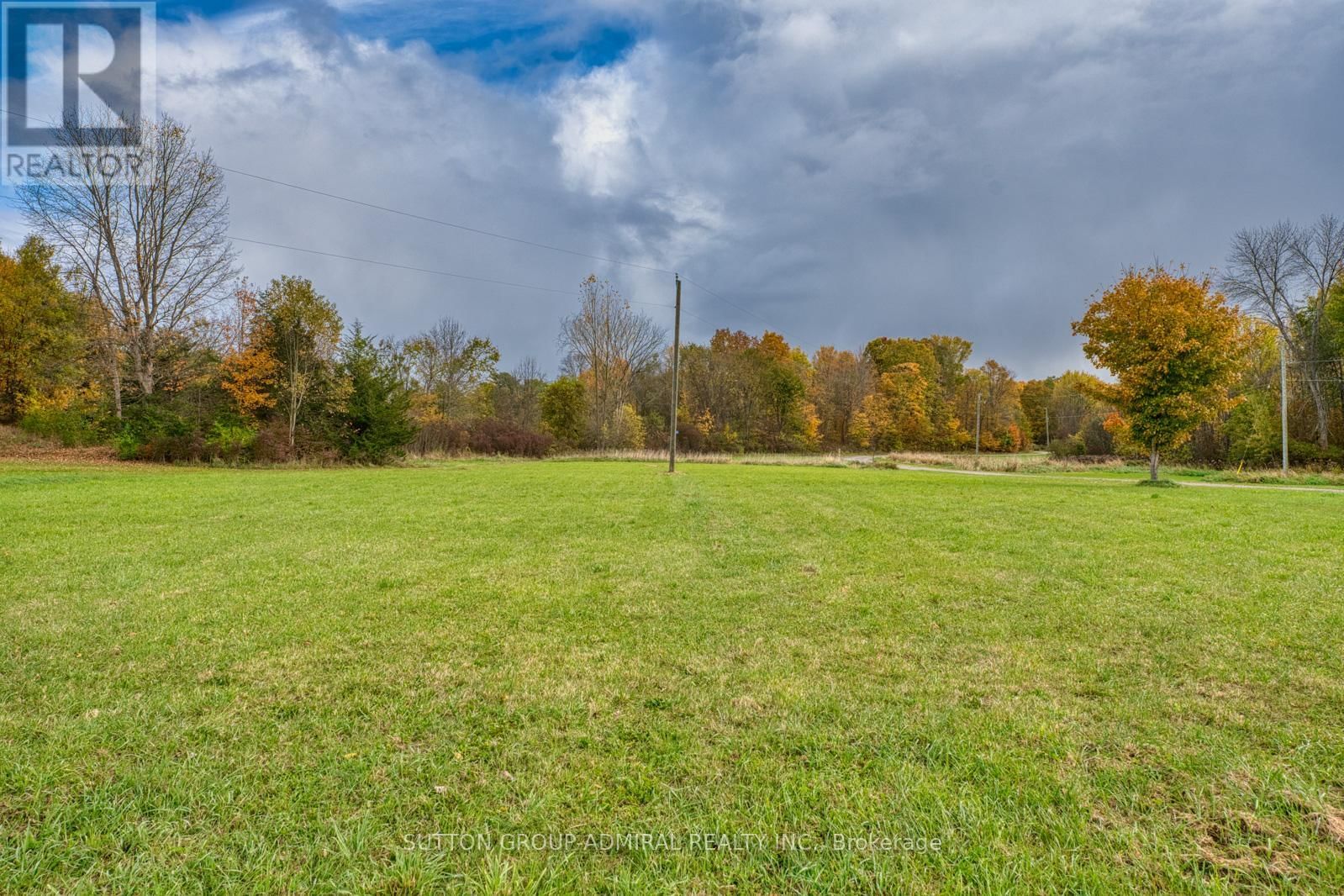 960 KELSEY LANE Image 4
