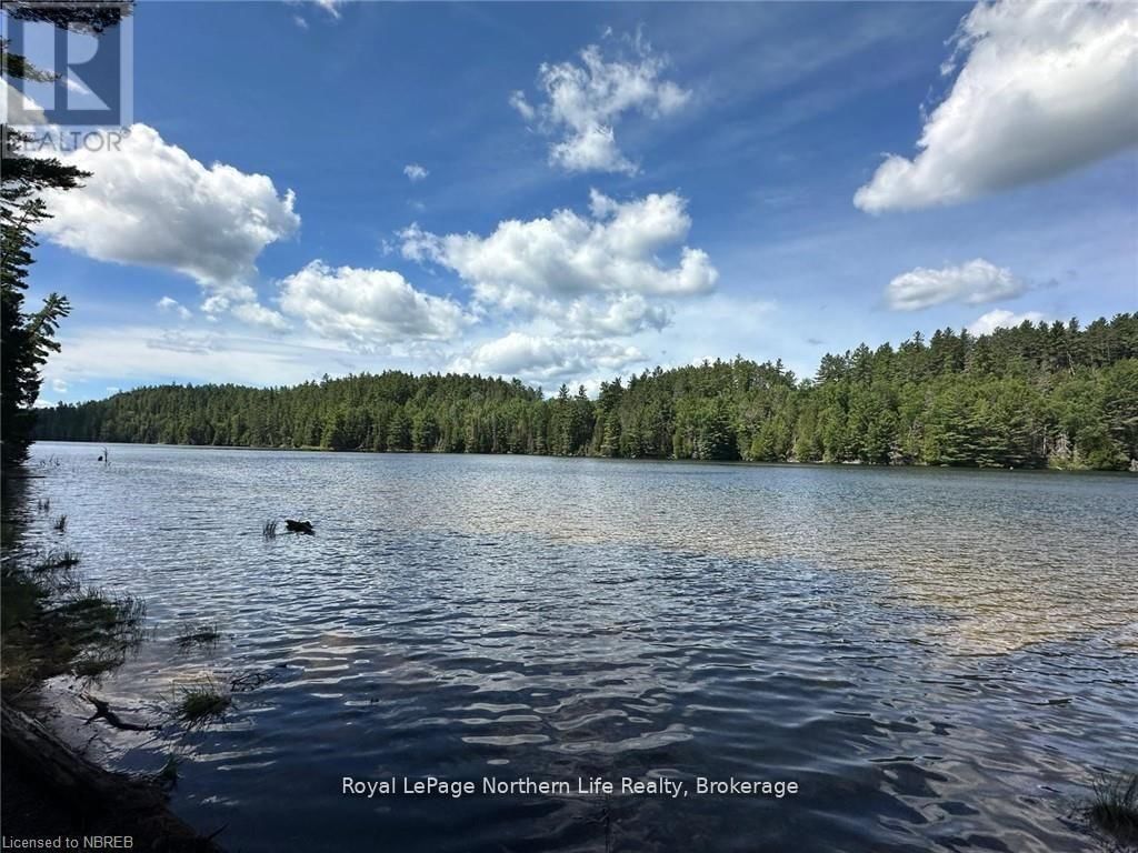 11515 RABBIT LAKE Image 4