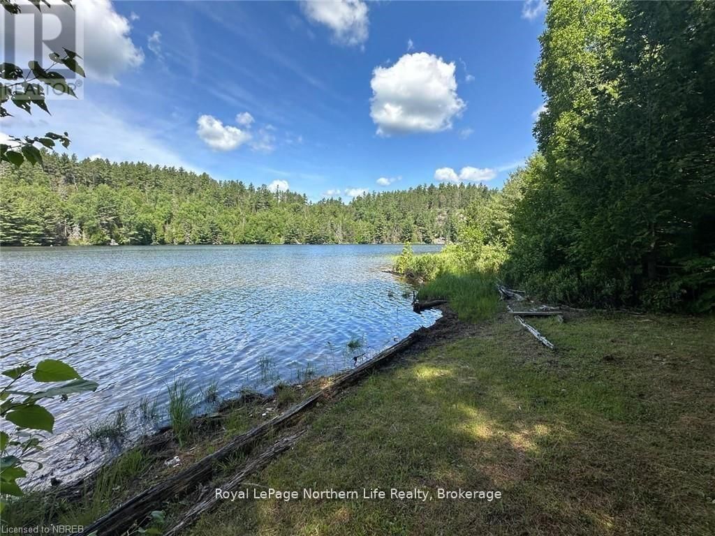 11515 RABBIT LAKE Image 50