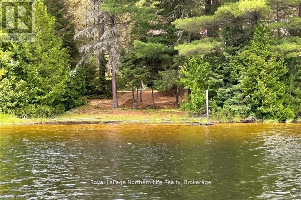 11515 RABBIT LAKE Image 9