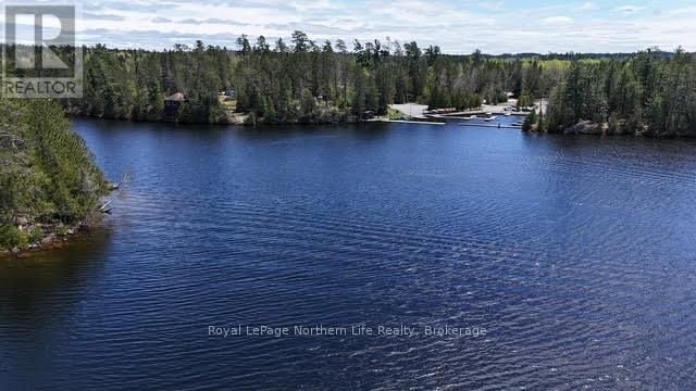 166 LAKE TEMAGAMI ISLAND 27 ISLAND Image 17