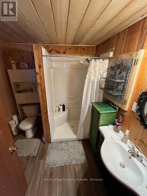 166 LAKE TEMAGAMI ISLAND 27 ISLAND Image 6
