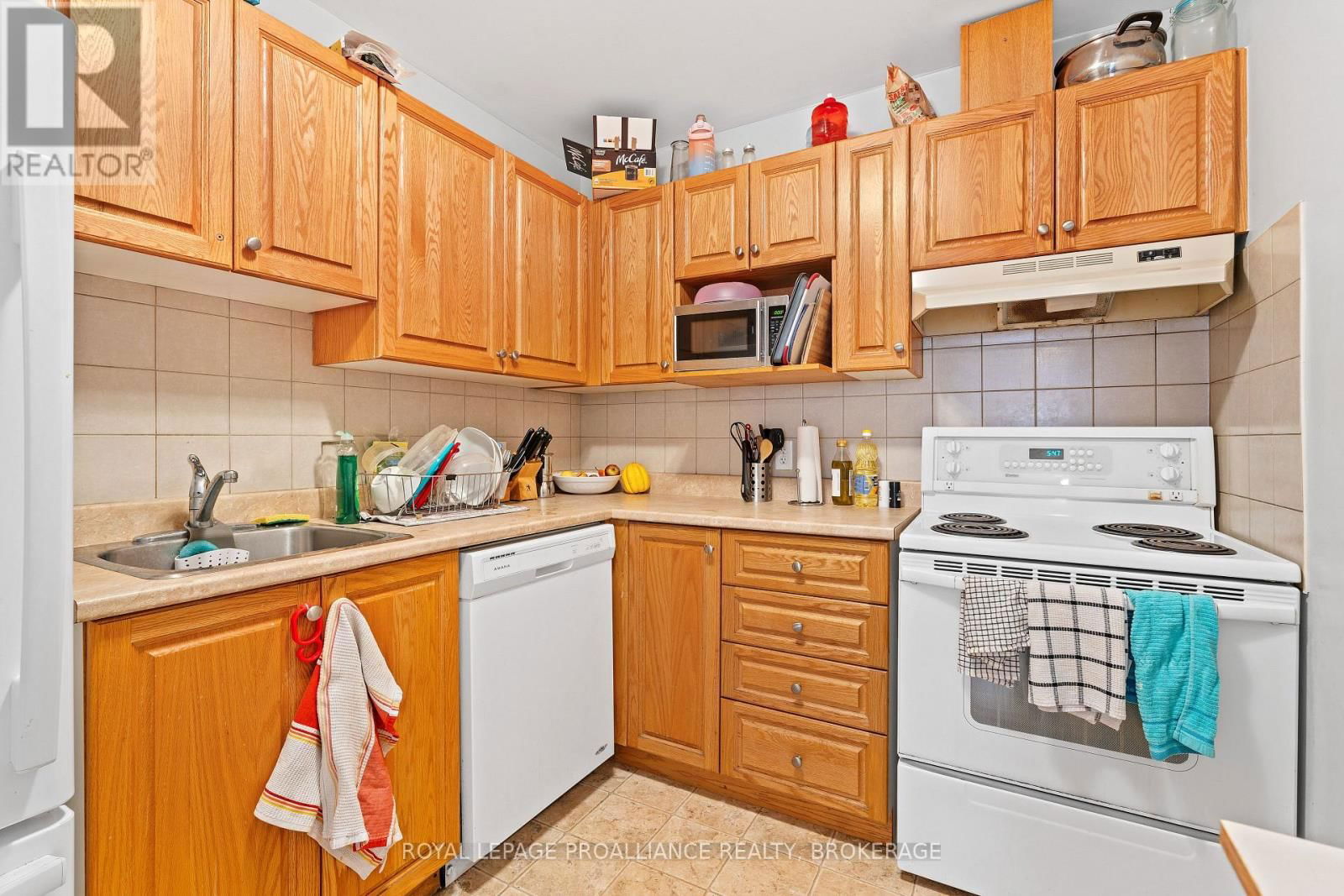 231 ALBERT STREET Image 26