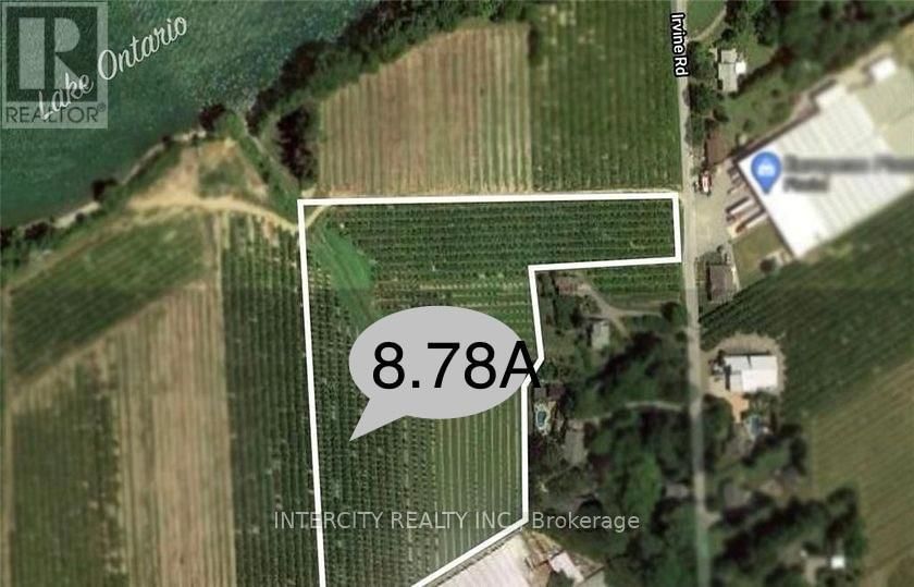 Primary Property View