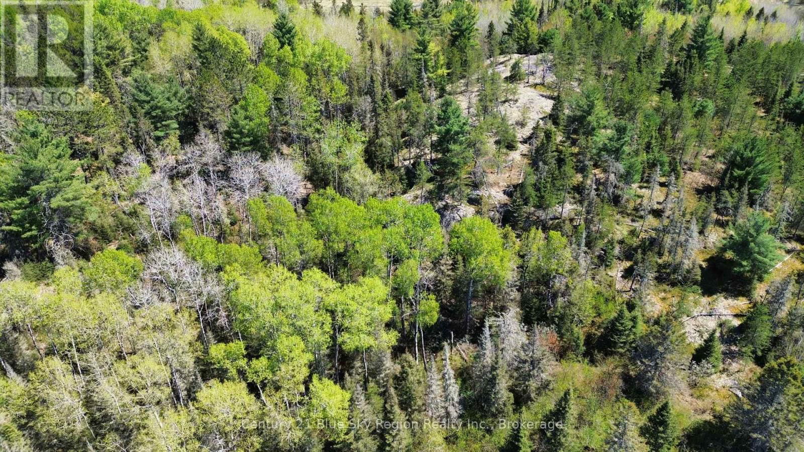 114 DE LA MONTEE ROAD Image 8