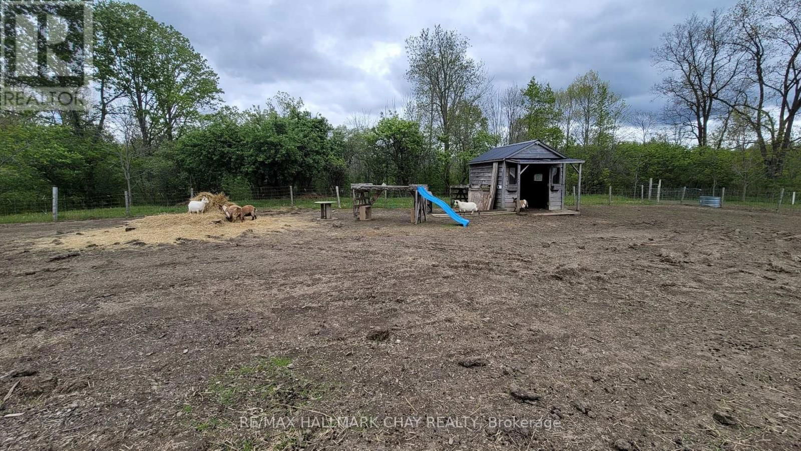 21298 SPRINGFIELD ROAD Image 41