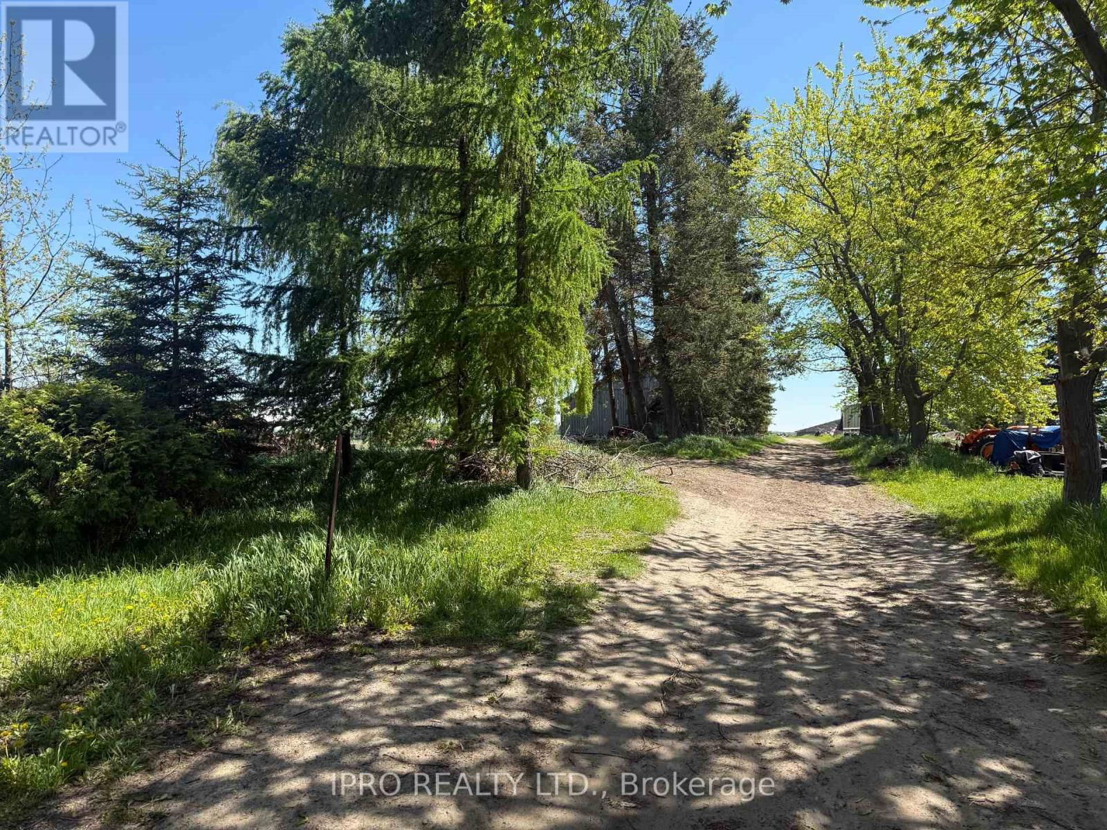 828254 MULMUR NOTTAWASAGA TOWNLINE Image 7