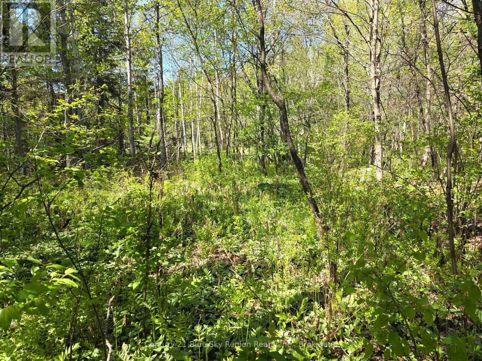 125 LAROCQUE ROAD Image 13