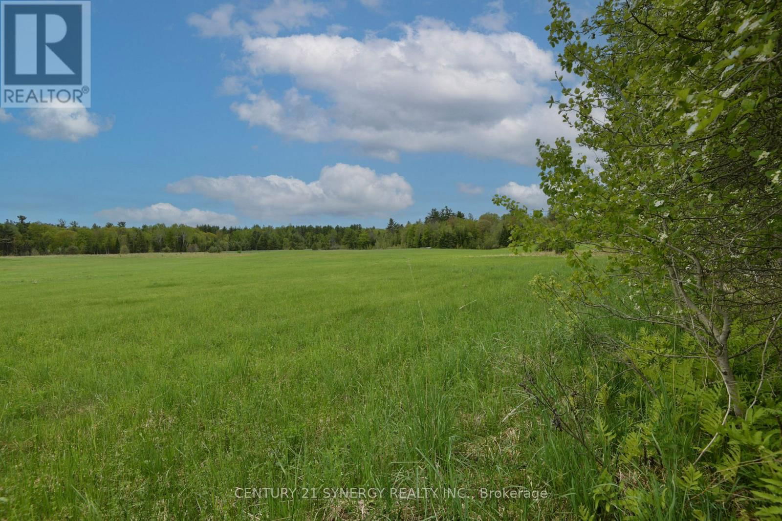 00 MILTON STEWART AVENUE Image 17