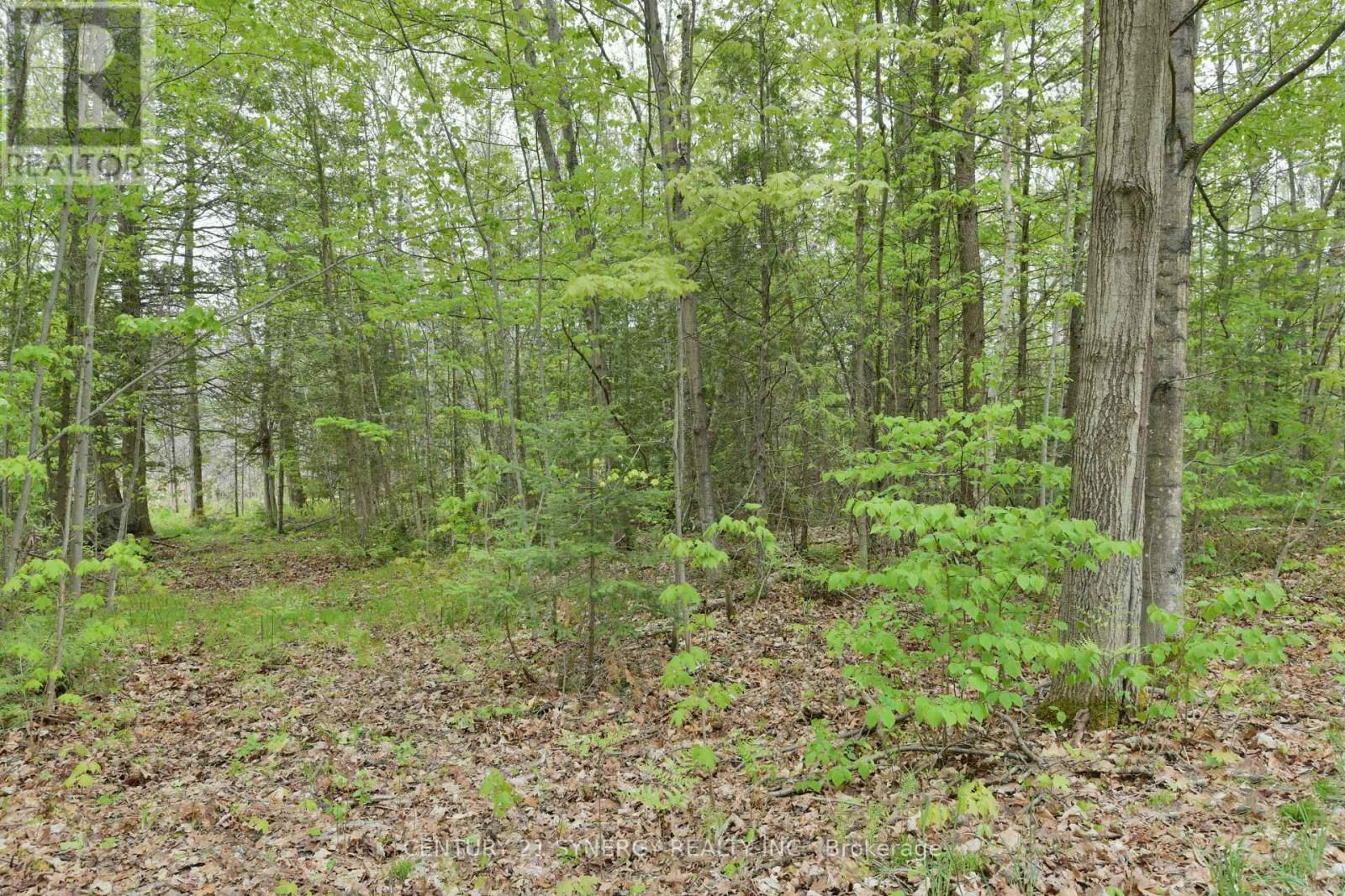 00 MILTON STEWART AVENUE Image 19