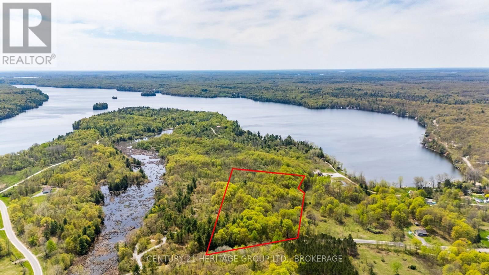 Primary Property View