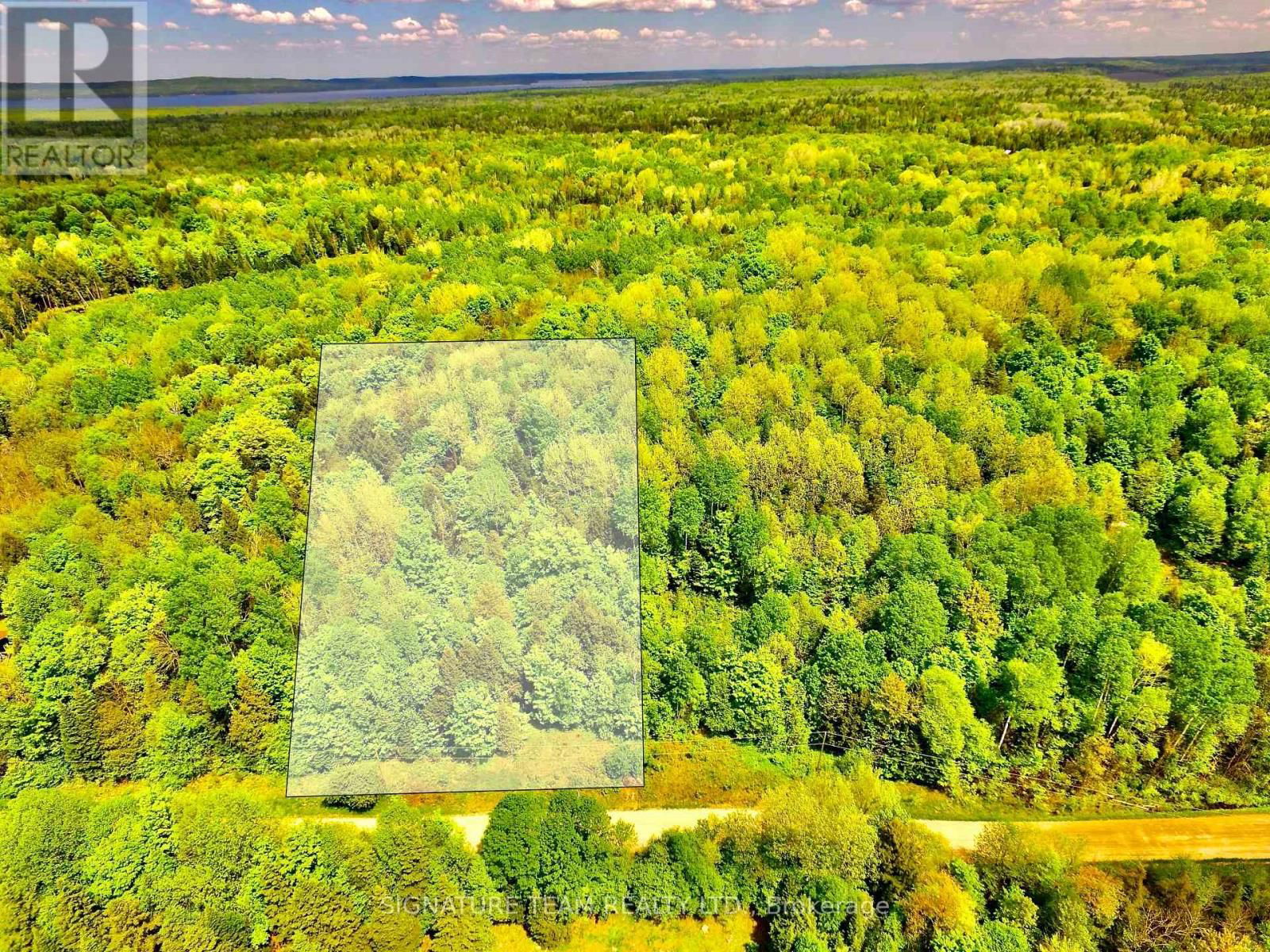 Primary Property View