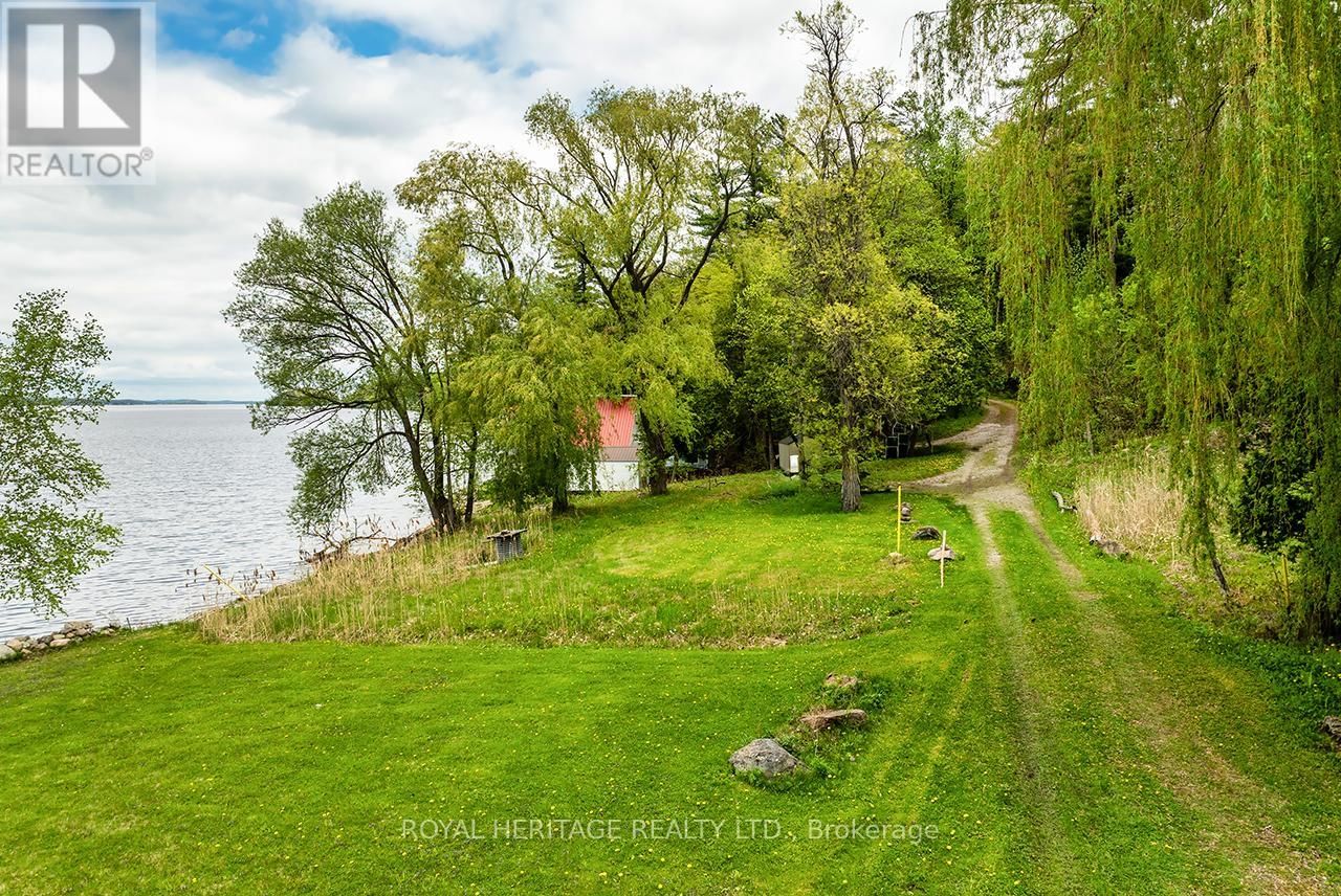 Primary Property View