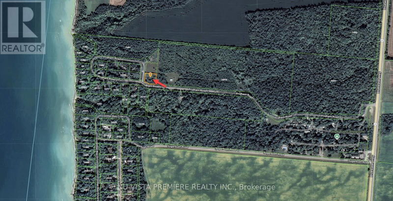 Tertiary Property View