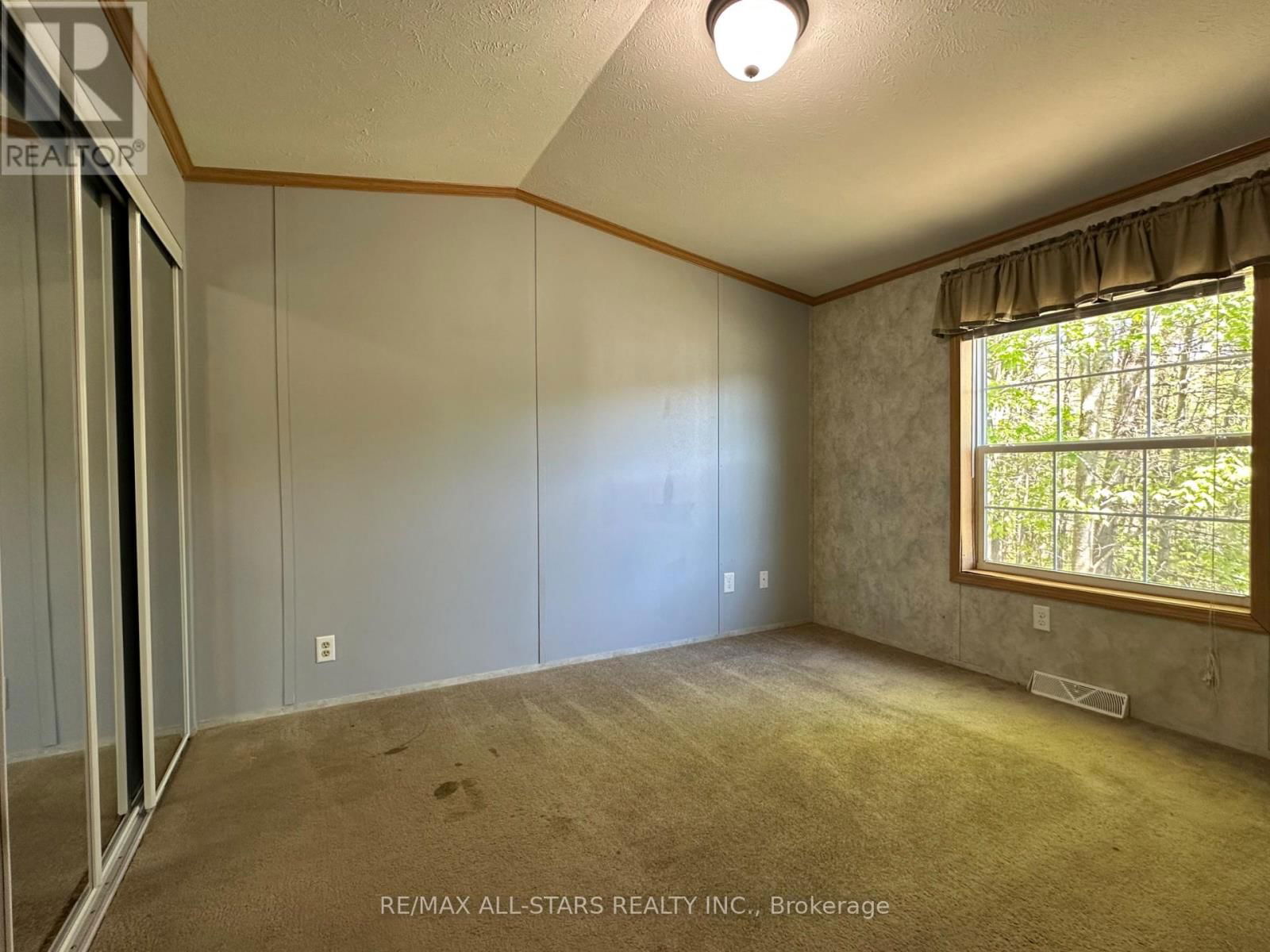 RACOON ROAD Image 22
